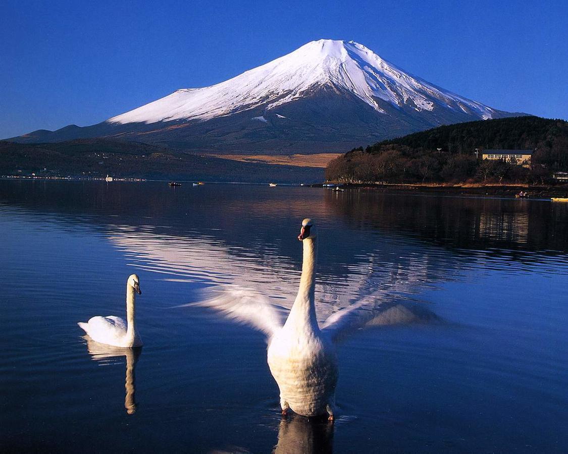 Resort Inn Golf Gotemba (Adults Only) Extérieur photo